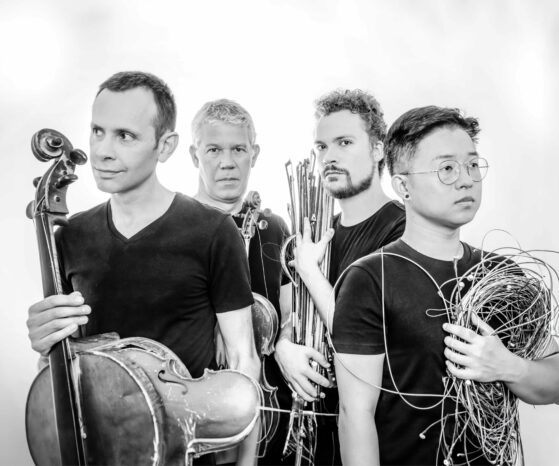 Quatuor Diotima